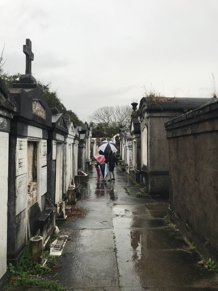 Photo Feb 12, 2 59 20 PM