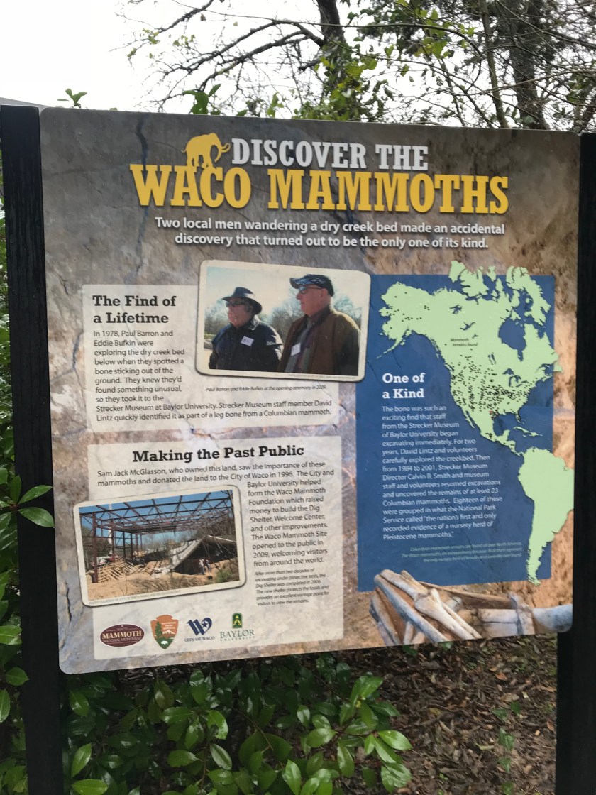 Photo Feb 19, 2 38 24 PM