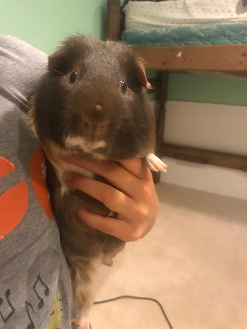 Photo Jul 27, 12 02 57 AM