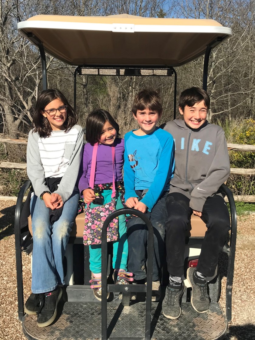 Photo Feb 20, 3 33 19 PM 2