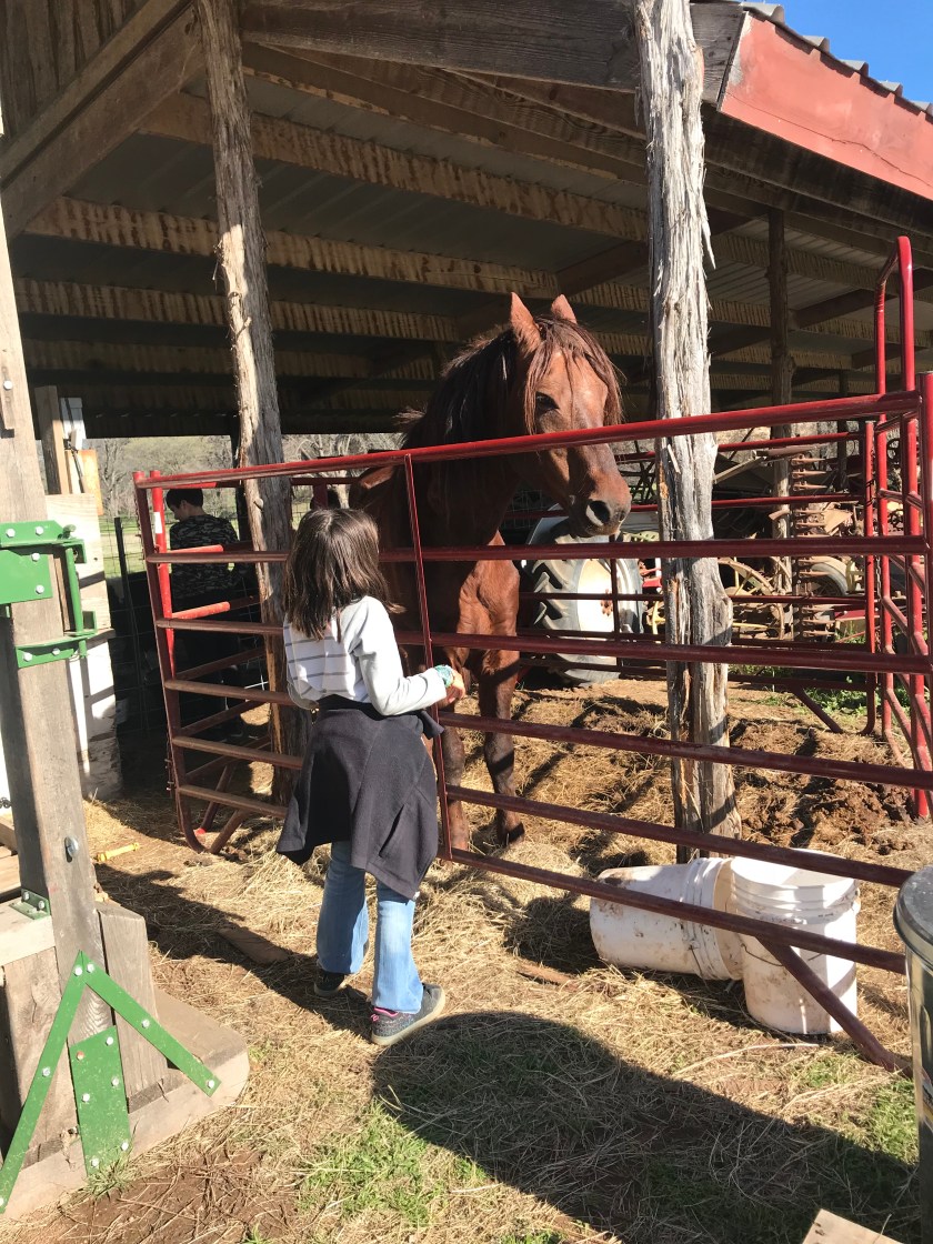 Photo Feb 20, 3 49 05 PM