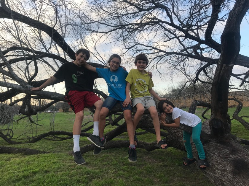 Photo Feb 26, 5 46 24 PM