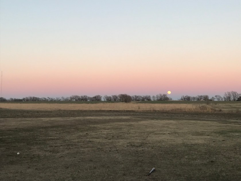 Photo Mar 20, 7 41 35 PM