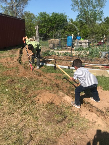 Photo Mar 28, 4 31 18 PM