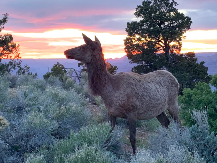 Photo May 03, 8 28 43 PM