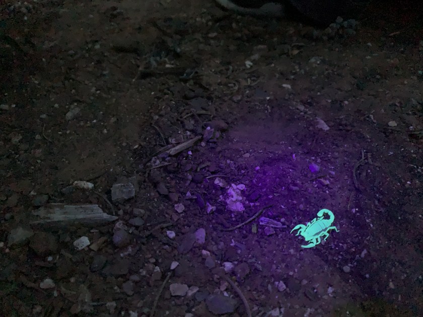 Photo May 03, 8 35 54 PM