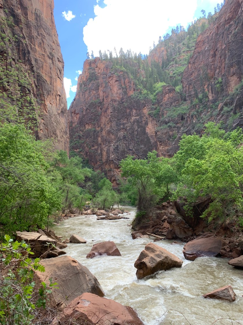 Photo May 06, 4 26 58 PM