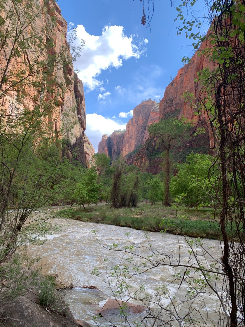 Photo May 06, 4 35 59 PM