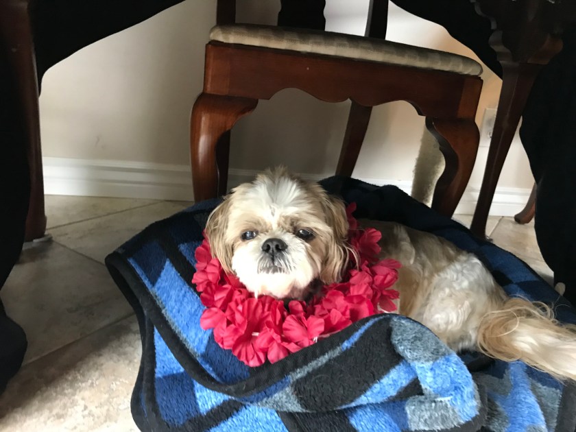 Photo May 19, 10 52 22 AM