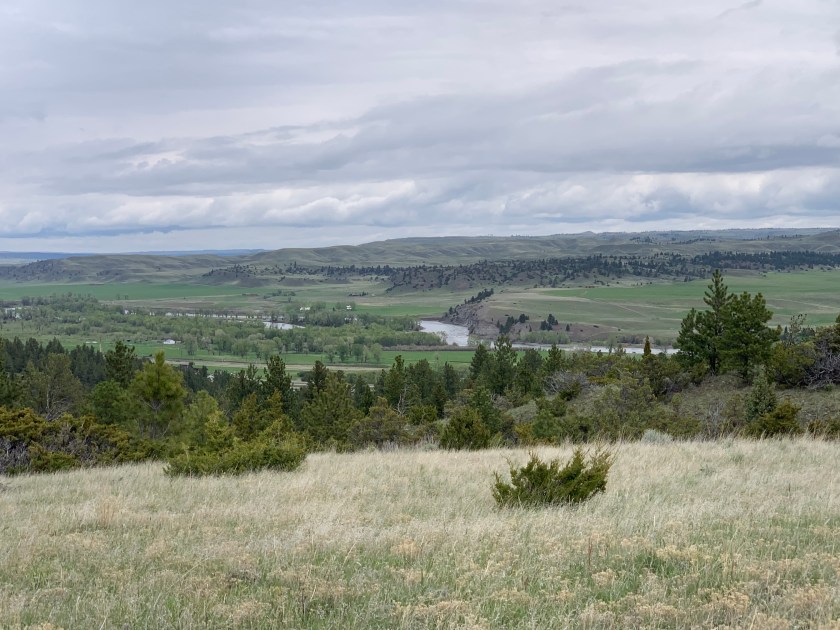 Photo May 24, 12 12 14 PM