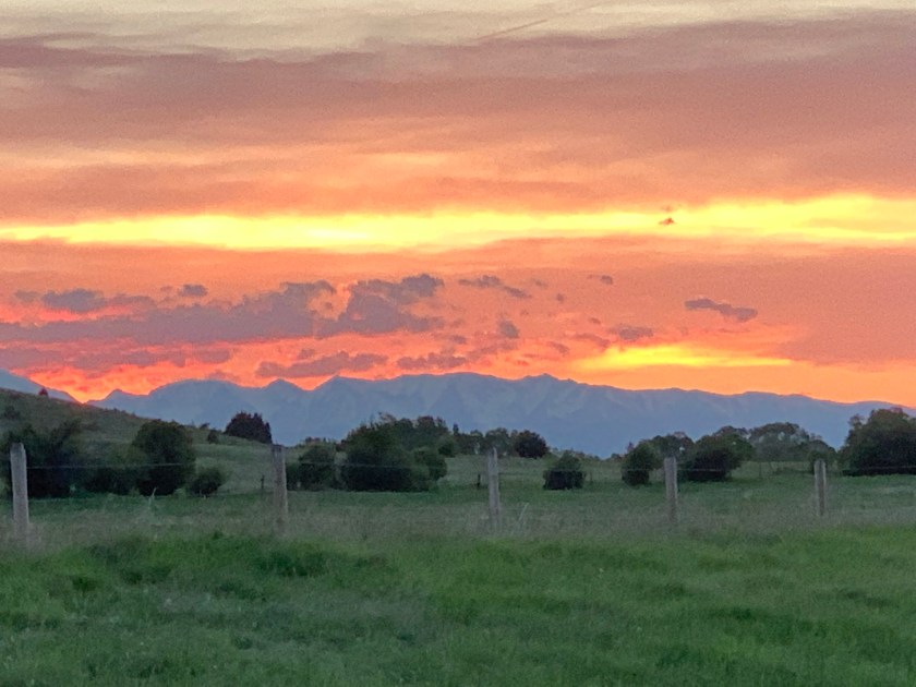 Photo Jun 03, 9 10 07 PM