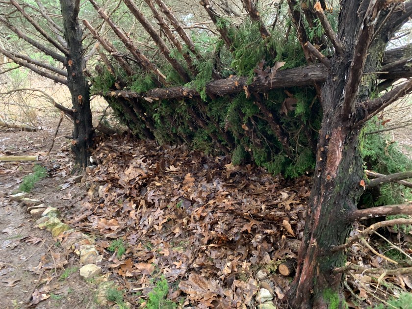 Photo Mar 15, 2 23 21 PM