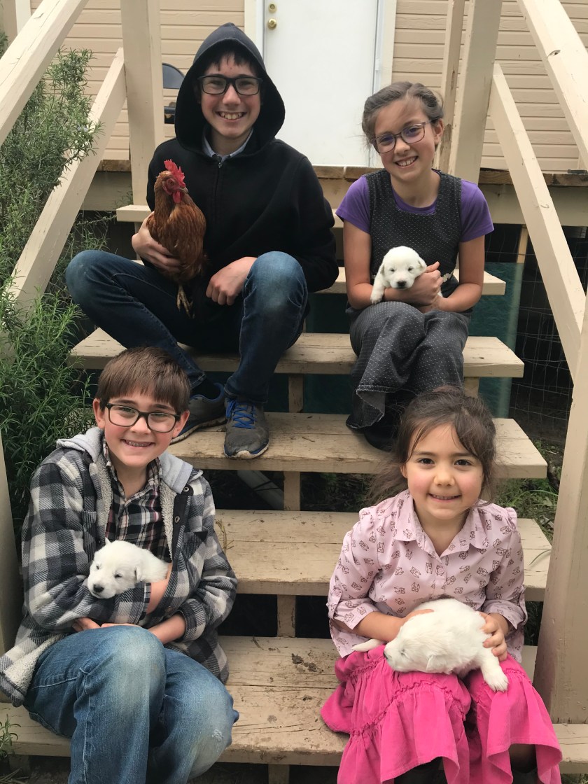 Photo Apr 05, 5 20 41 PM