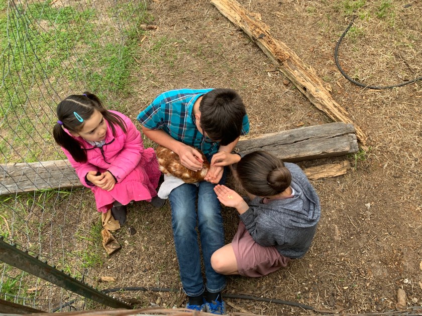 Photo Apr 17, 8 52 39 AM